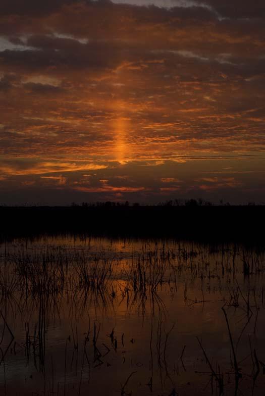 2-9-2008-marsh-sunrise-fowler-red-wing-bb-sunset_8479copy1.jpg