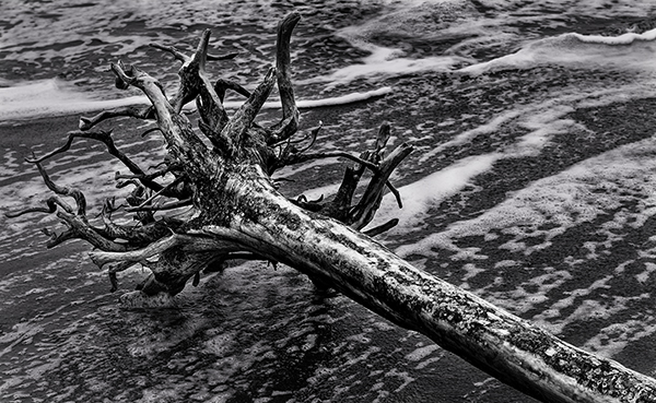 Barn.Driftwood April 2014_3171.1