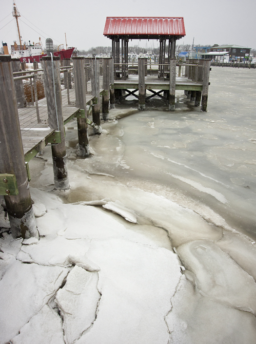 Icy Lewes Harbor 1.25.2014_2407