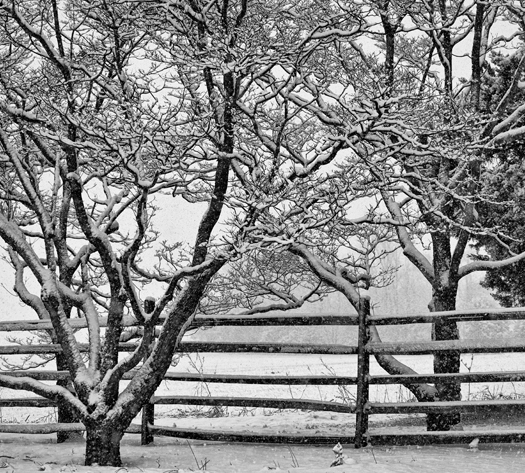 Snowstorm Dover 2.1.2013_4630