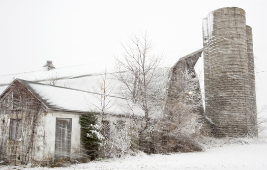 Snowstorm Lewes 3.25.2014_4889