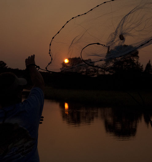 cast-net-sunset-827