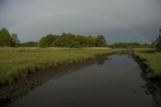rainbow-canary-creek-5-11-2009_051109_8999