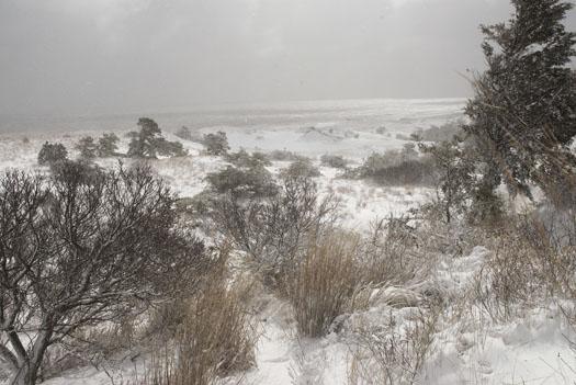 snowstorm-cape-h-3-2-2009_030209_3971