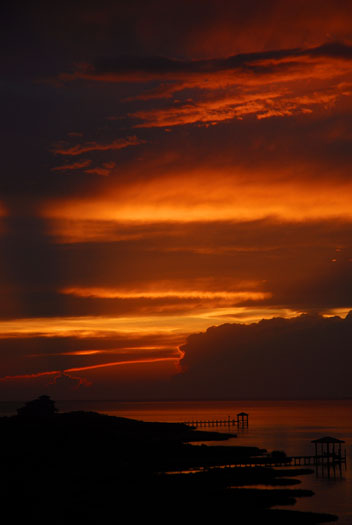 sunset-83-and-sunrise-egrets-84_3632