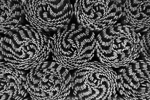 swirls-3-13-2009_031309_5003